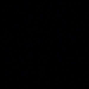 Meet your Posher, Savior